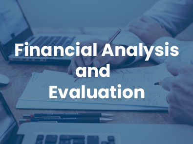 Financial Analysis and Evaluation
