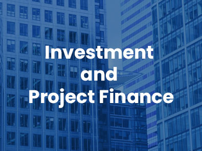 Investment and Project Finance